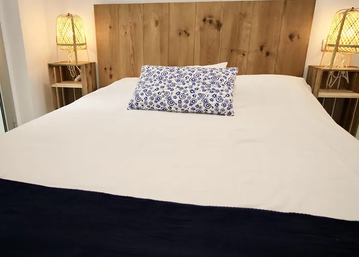 Weroomies - Style 2c * 塔拉戈纳